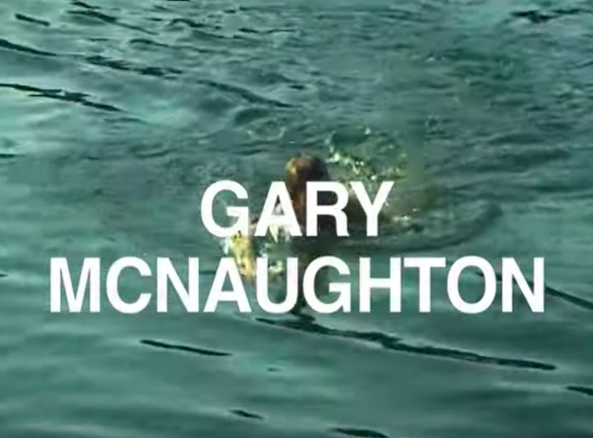 Gary Mcnaughton Part from "Panasonic Youth"