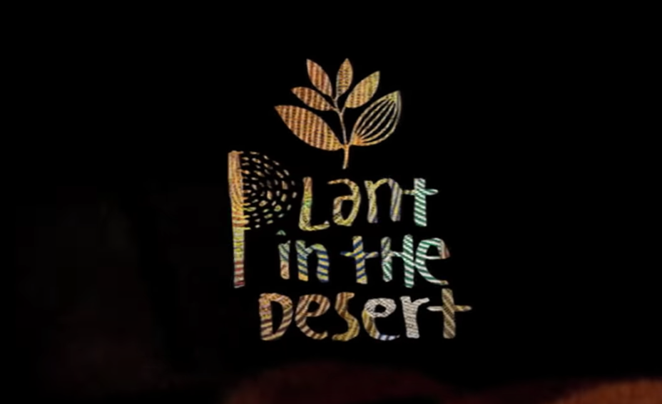 Magenta Presents "A Plant in the Desert"