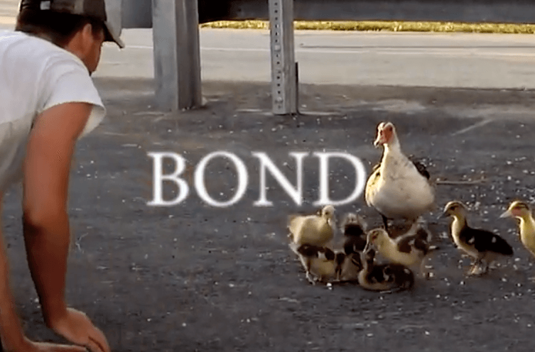 "BOND" A South Florida Video by Jeff Cecere