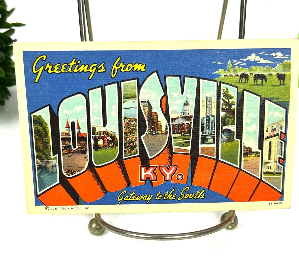 Harbor County Scene Report: The Louisville Skate Scene is Hardened and Humble