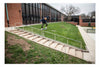 AARON HERRINGTON-ST LOUIS BACKSIDE 5050 RAIL PHOTO PRINT
