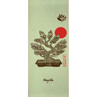 SHOGO ZAMA HOME SERIES BOARD Skateboard Deck