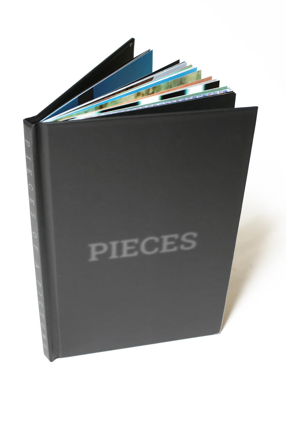 Pieces of a Picture Book & DVD Set