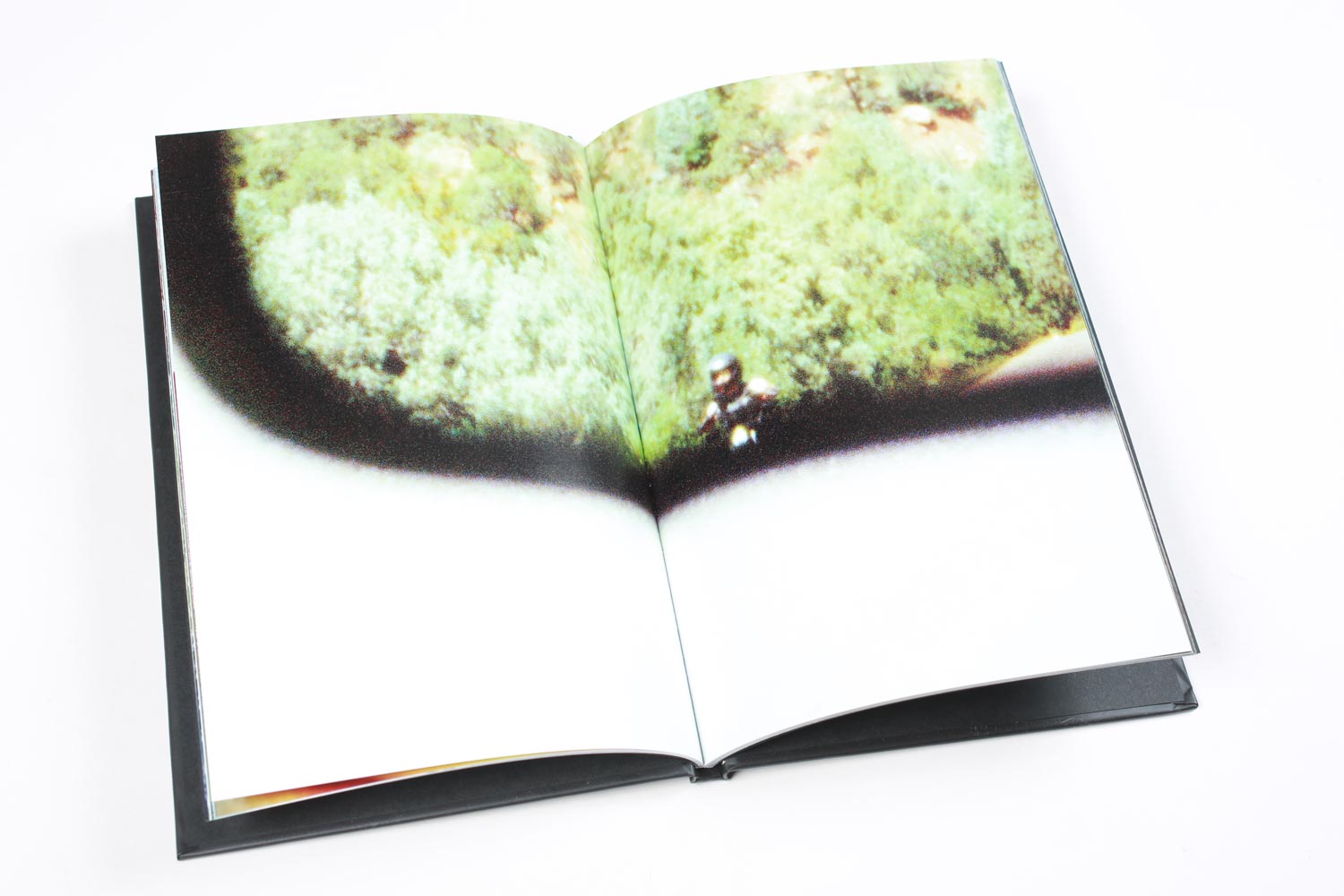 Pieces of a Picture Book & DVD Set