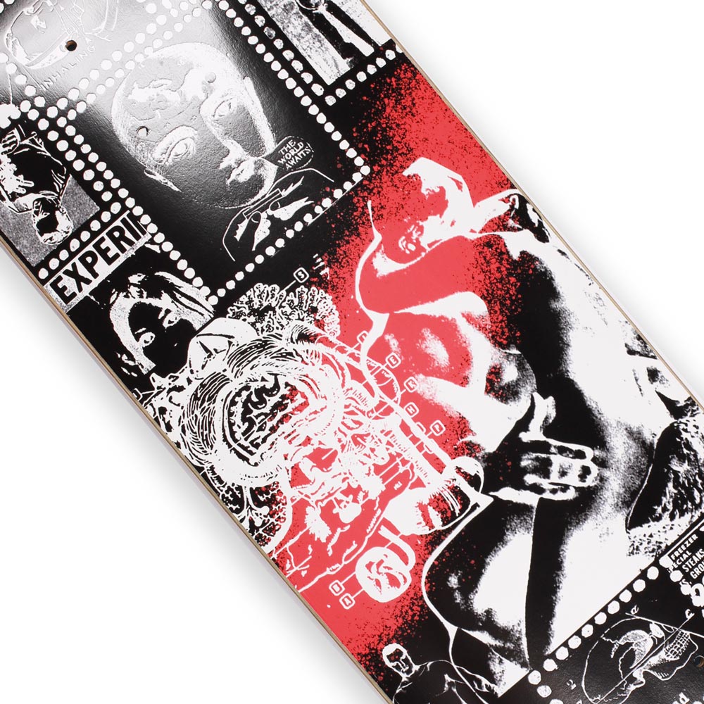 Theories Anatomy Skateboard Deck