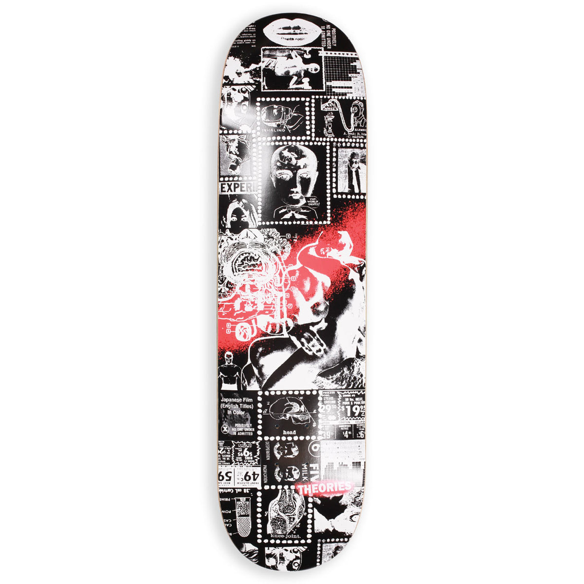 Theories Anatomy Skateboard Deck