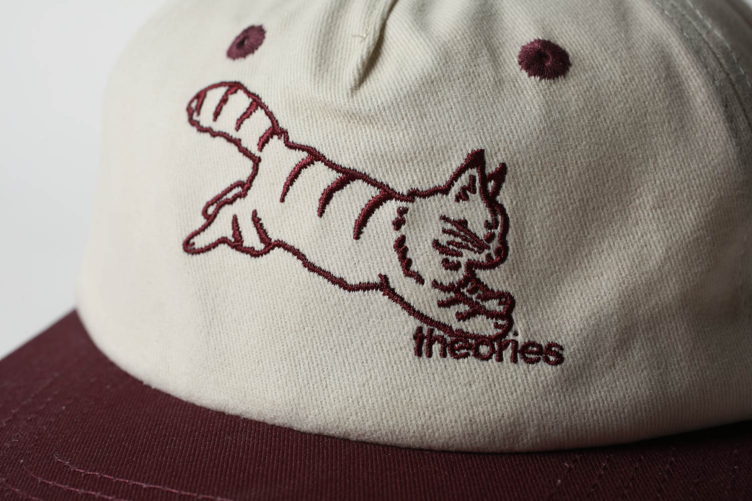 Theories Conscious Kitty Snapback Hat – THEORIES OF ATLANTIS