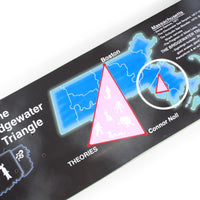 Theories Connor Noll Bridgewater Triangle Pro Skateboard Deck