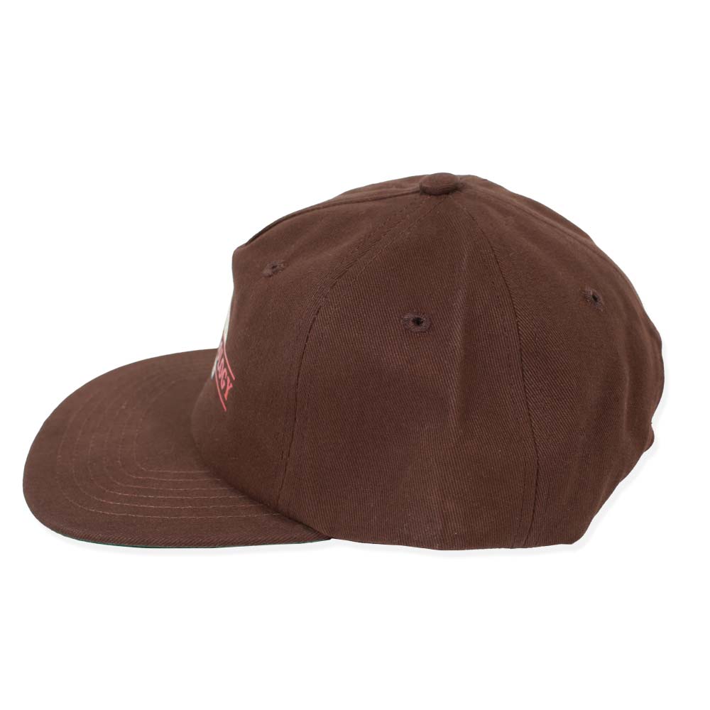 Theories CRYPTOZOOLOGIST Snapback HAT BROWN Side