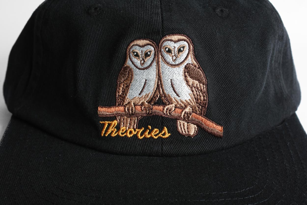 Theories Not What They Seem Strapback Hat Black VORBESTELLEN