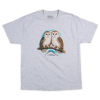 Theories Not What They Seem Tee Ash