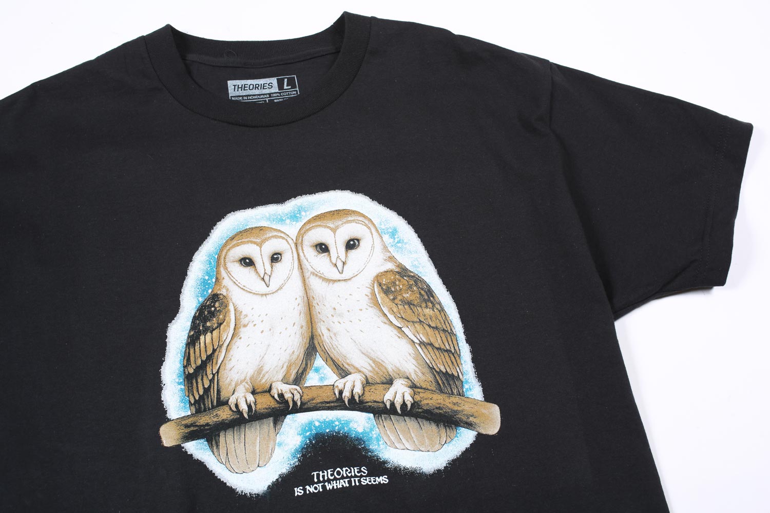 Theories Not What They Seem T-Shirt VORBESTELLUNG