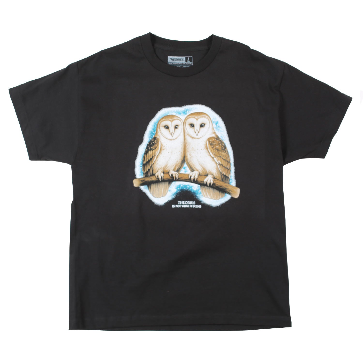 Theories Not What They Seem T-Shirt VORBESTELLUNG