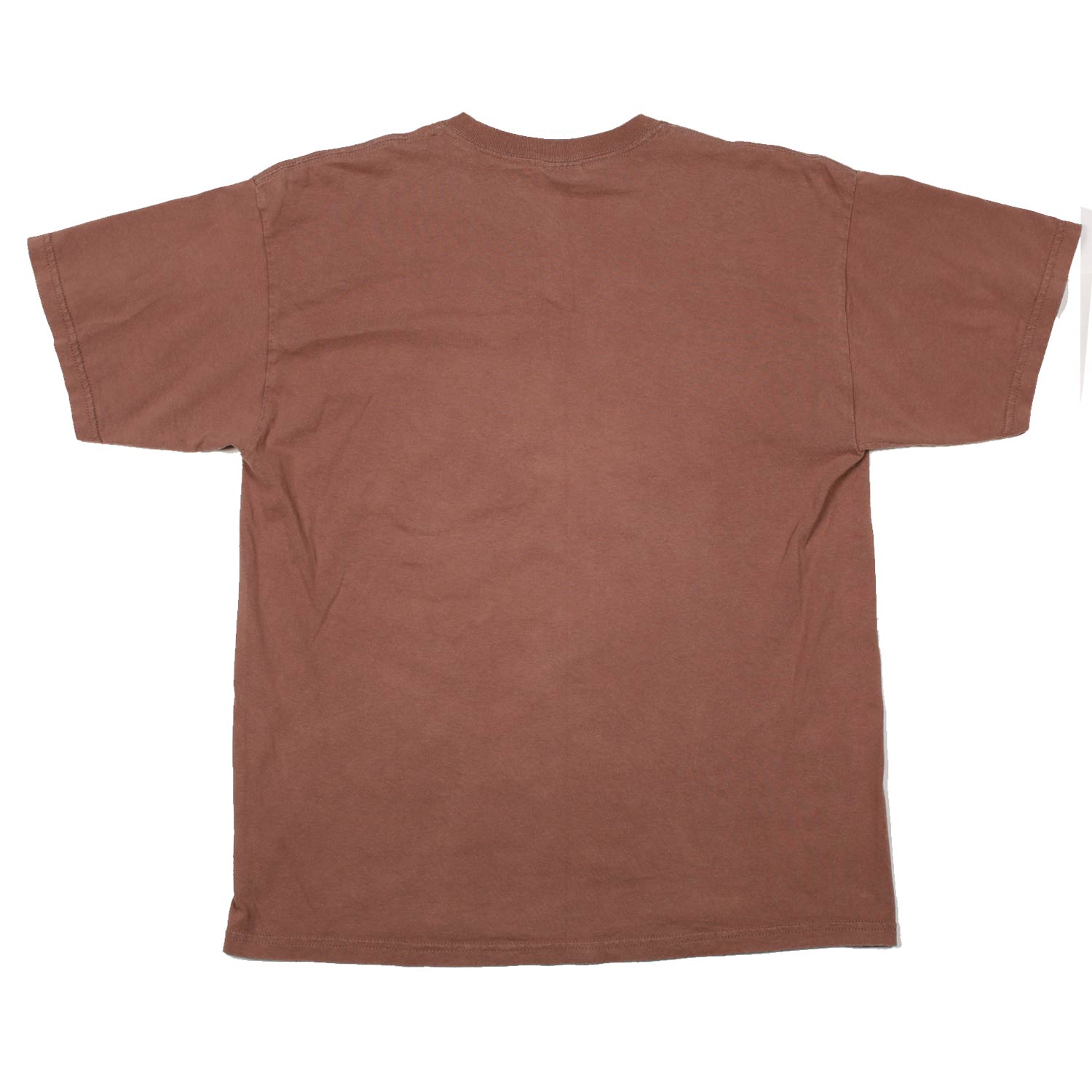 Vintage Grand Canyon West Tee Brown L