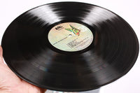 Vintage Love "Revisited" Vinyl LP 1970