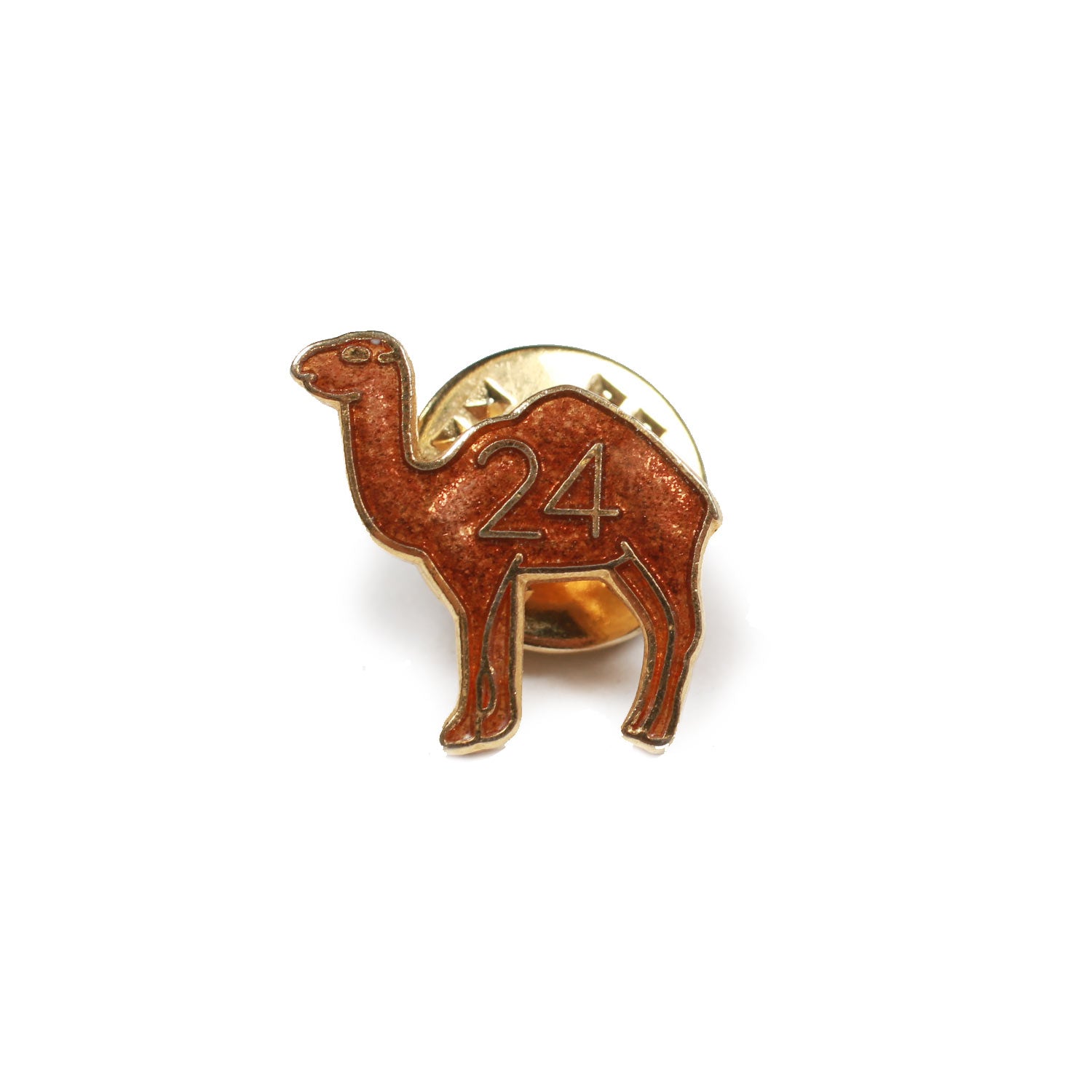 Vintage Masonic 24 Camel Enamel Pin