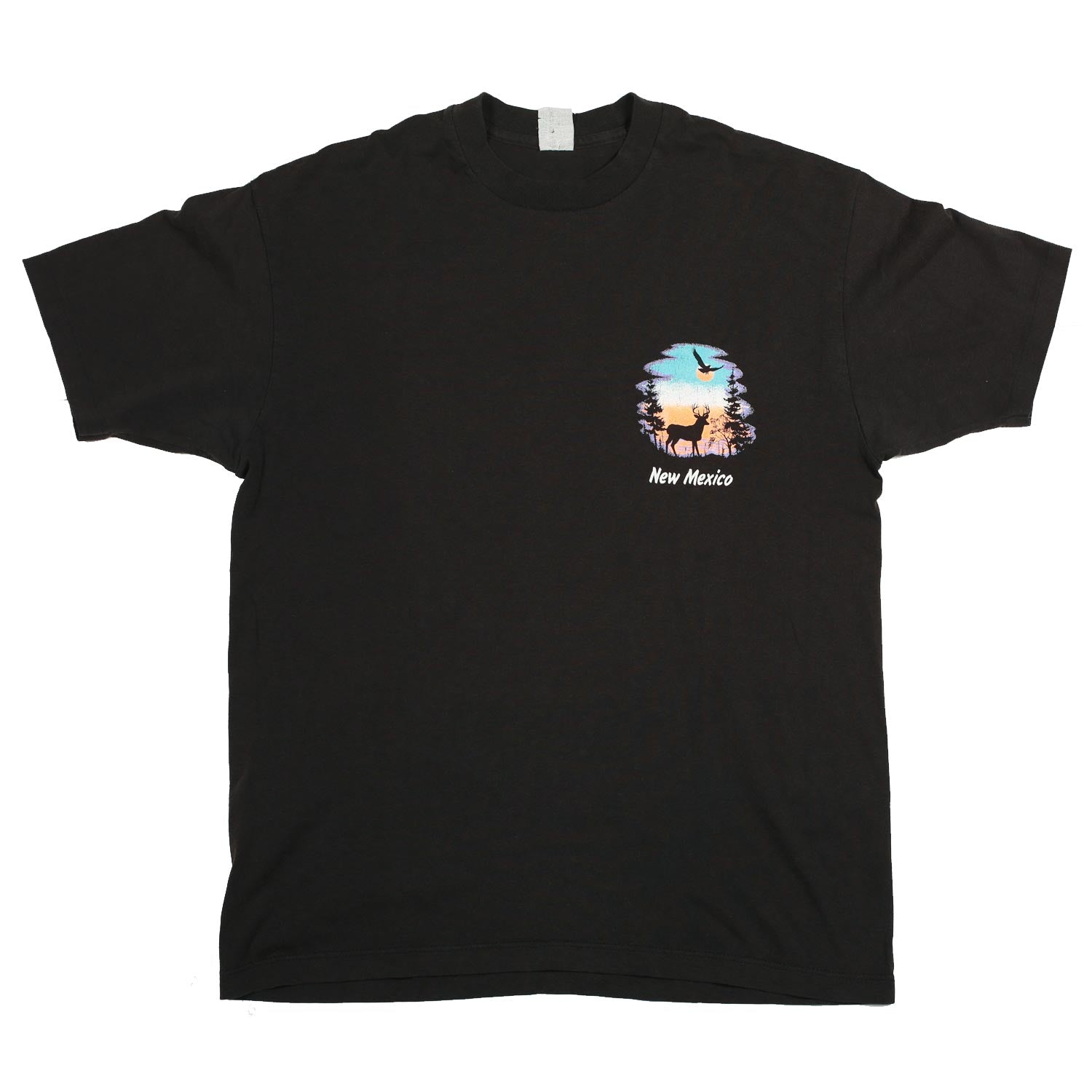Vintage New Mexico Nature Tee Black L