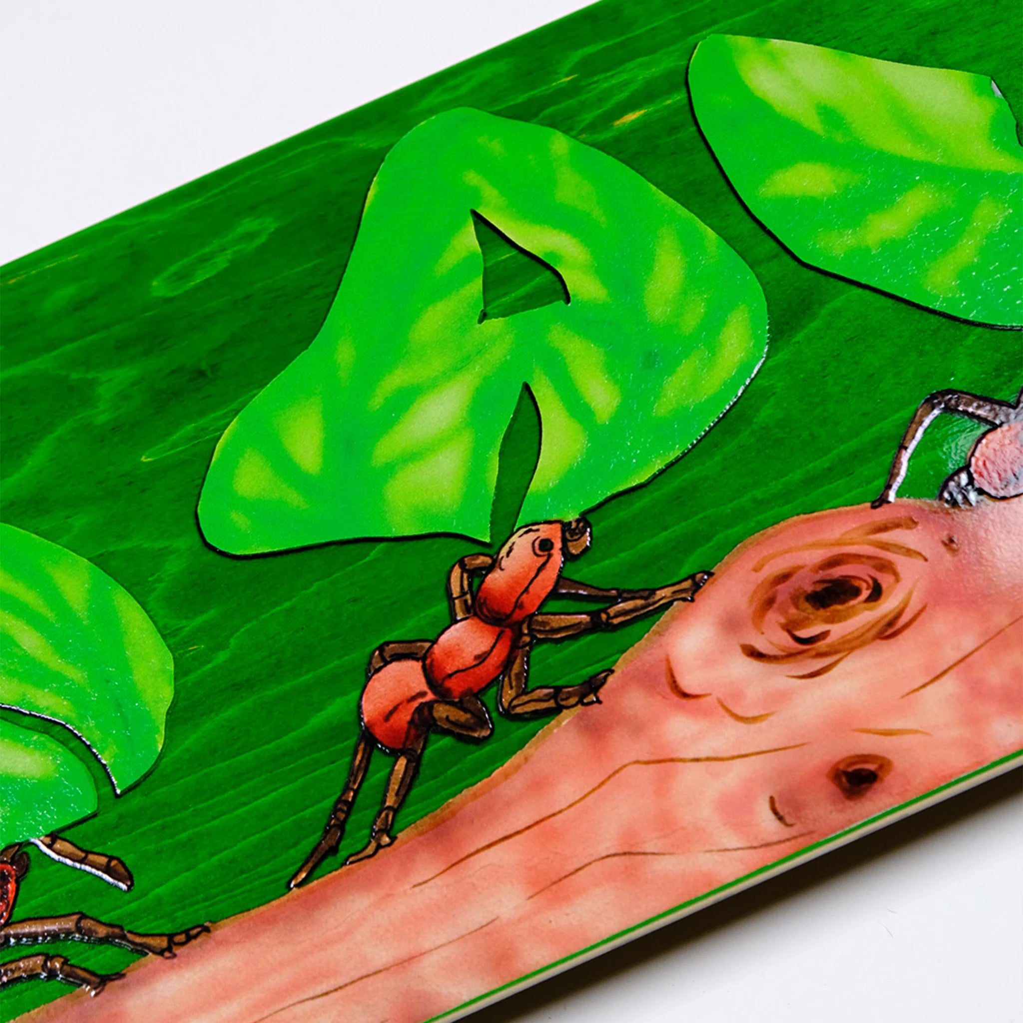 Snack Leafcutter Skateboard Deck detail graphic ant on log