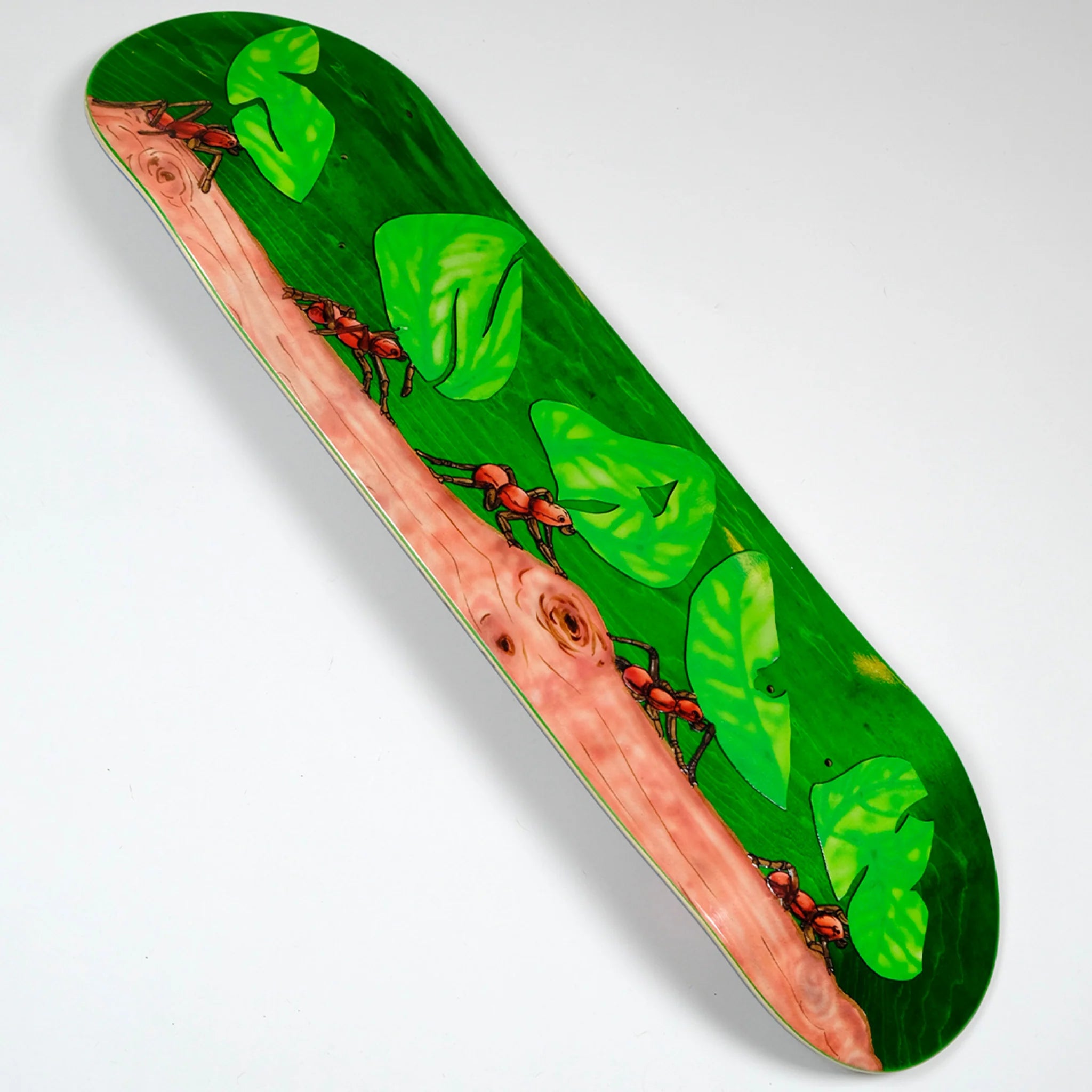 Snack Leafcutter Skateboard Deck main angle
