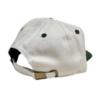 Theories Hand of Theories Short Brim Hat Pearl / Green Strapback