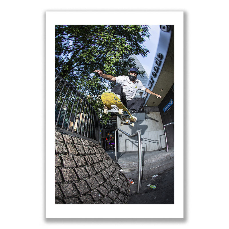 Steve Brandi Ollie Print