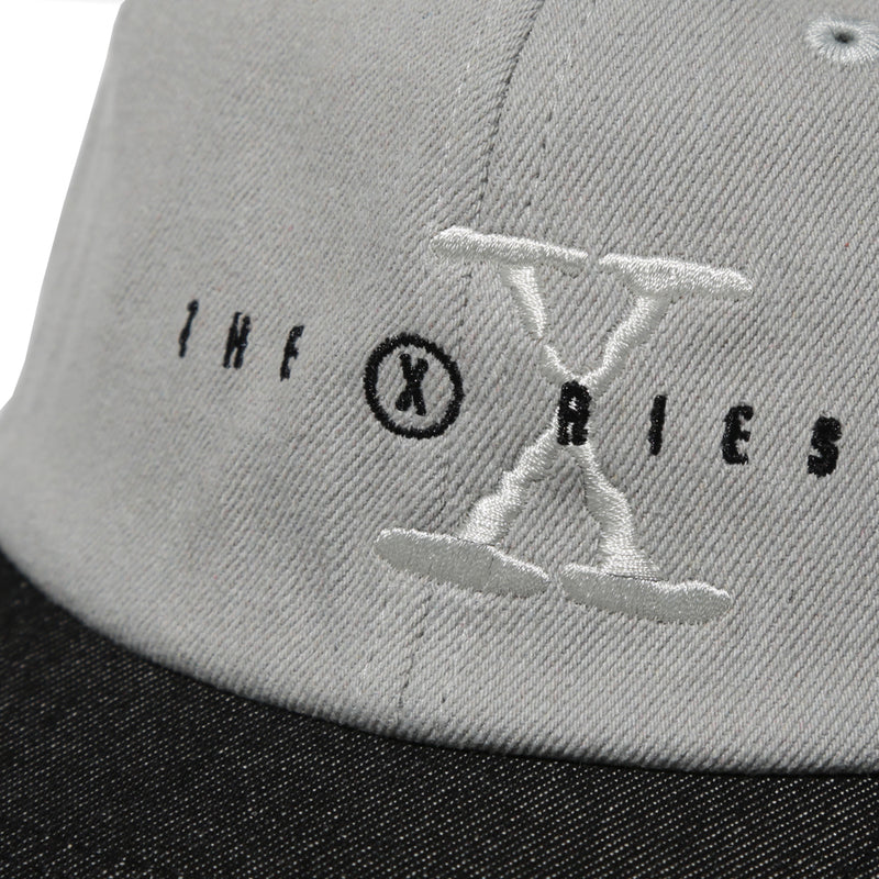 Theories Paranormal Grey/Black Snapback Hat Front Detail