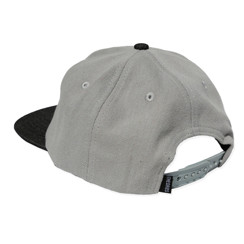 Theories Paranormal Grey/Black Snapback Hat Back